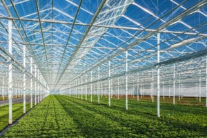 cooling solutions for horticulture businesses