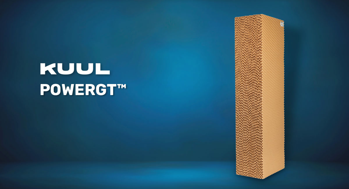 Kuul PowerGT Cellulose Media on a blue background