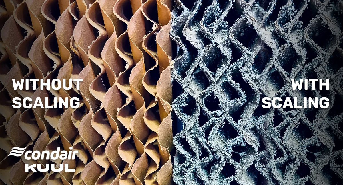 Evaporative cooling media comparison with and without media scaling